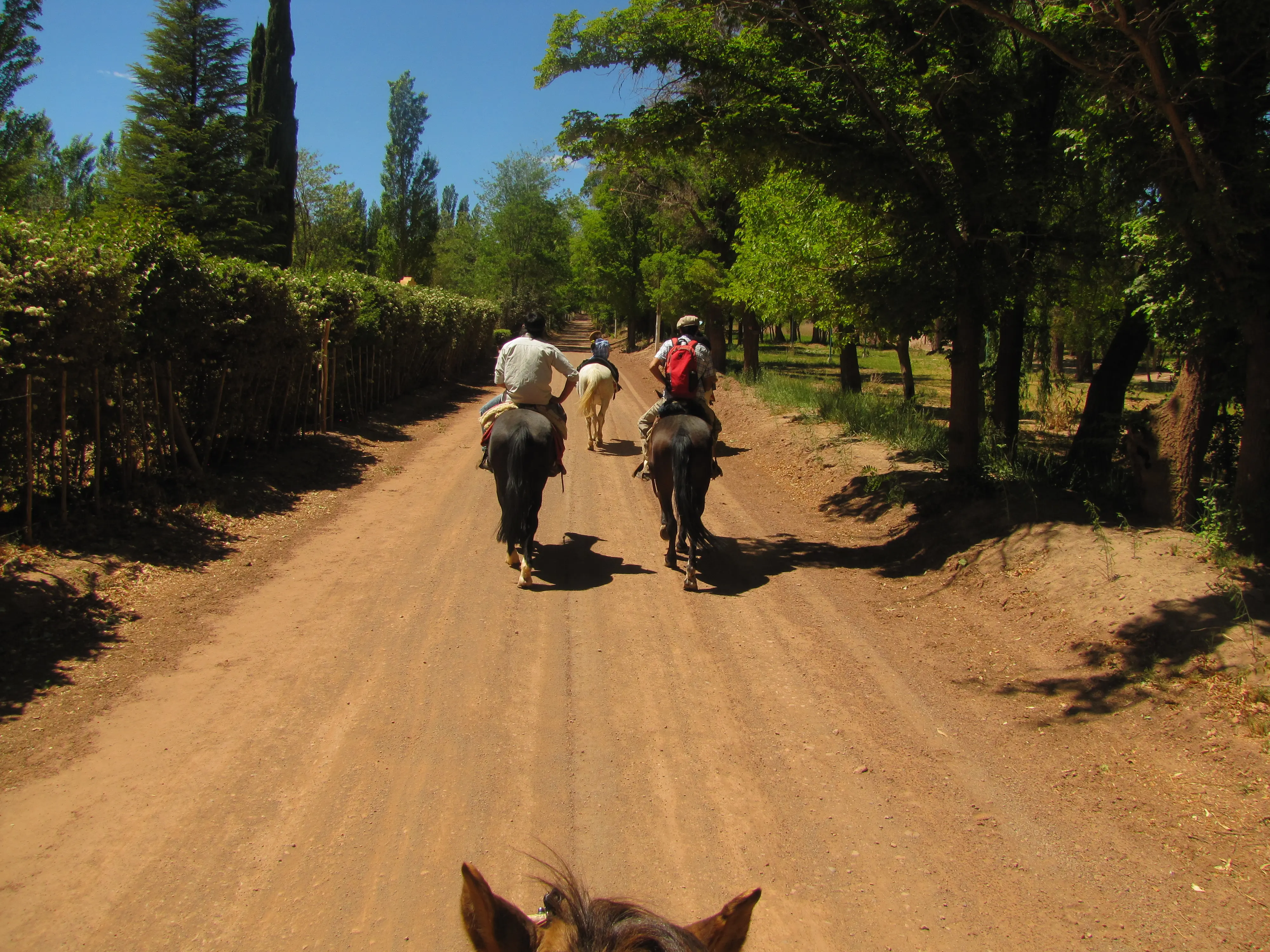 Cabalgatas
